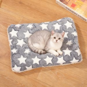 Thick pet mat